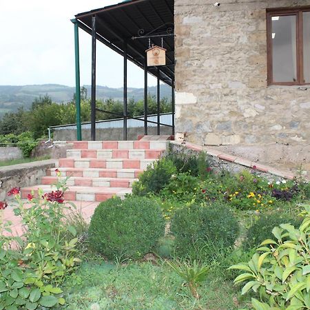 Bears And Berries Hotel Berd Luaran gambar