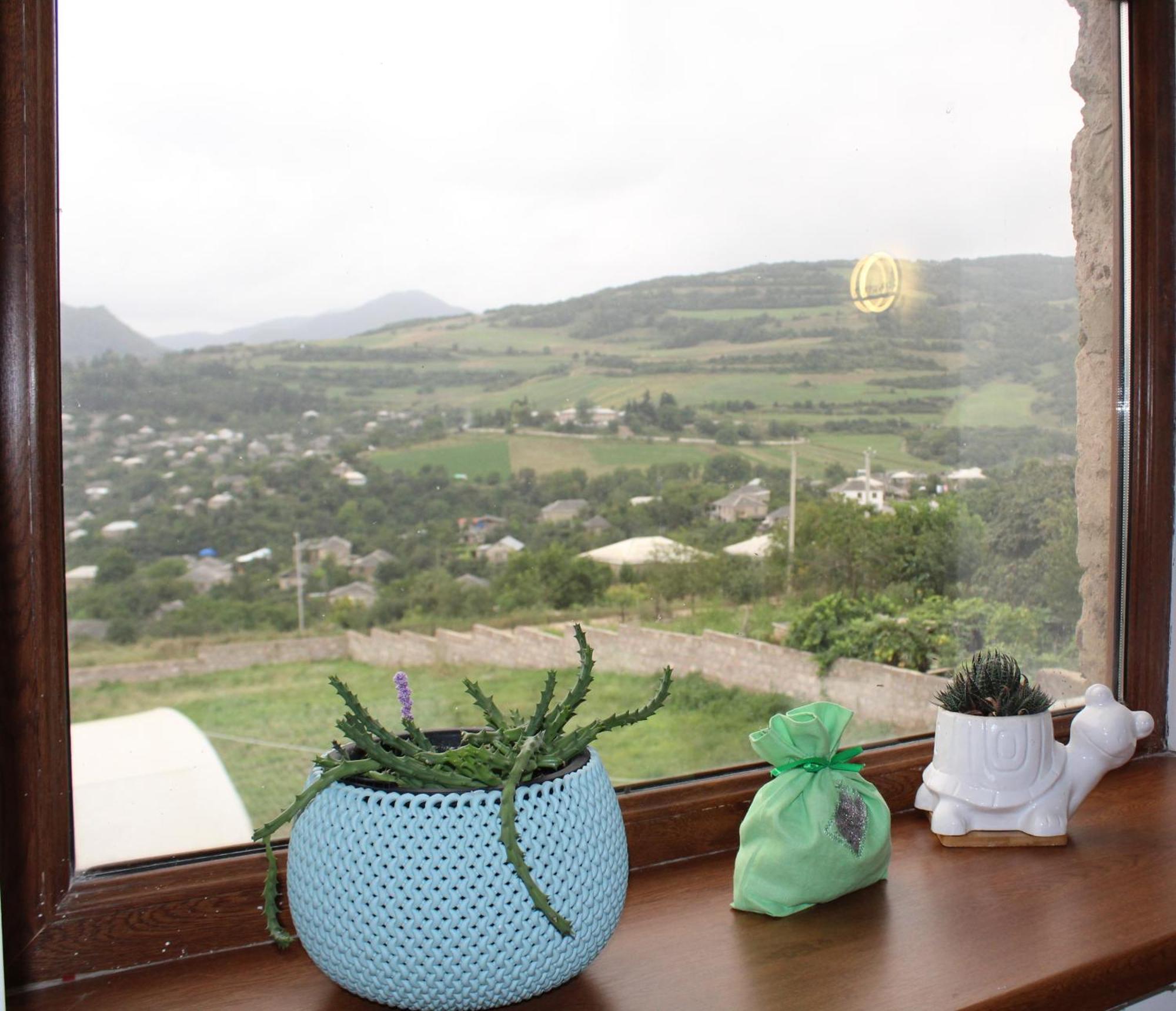 Bears And Berries Hotel Berd Luaran gambar